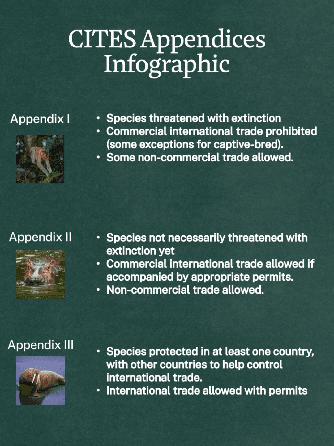 How are the world’s most endangered species ending up in private ...